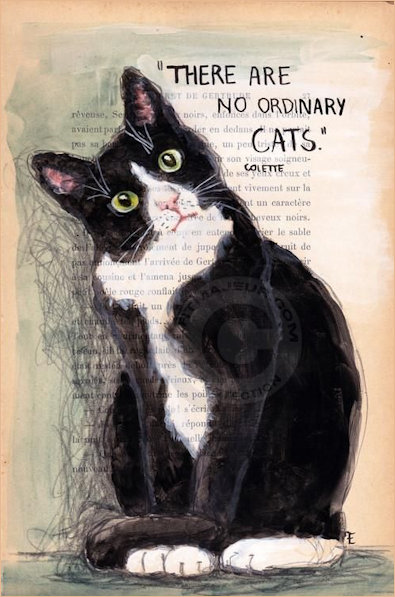 There are no ordinary cats - Collette